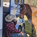 TSEE Ray Horsing Around