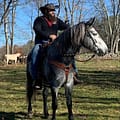 TSEE Ray on Horse